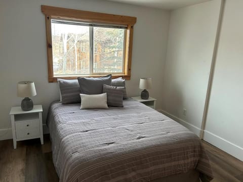 Spacious Modern Home with Game Room Apartment in Driggs