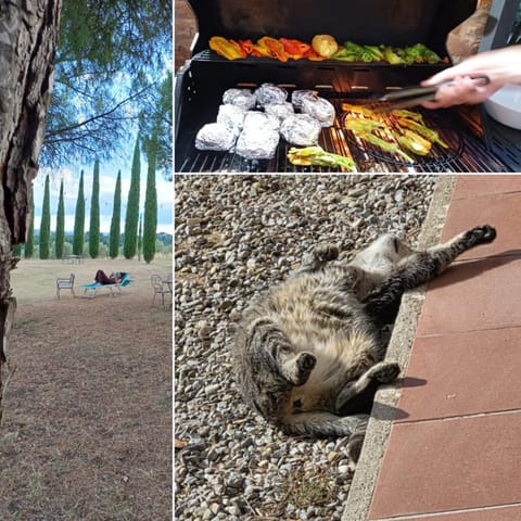 Agriturismo Palazzo Val Del Sasso Farm Stay in Umbria