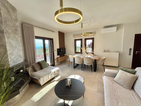 Living room, Photo of the whole room, Seating area, Dining area, air conditioner
