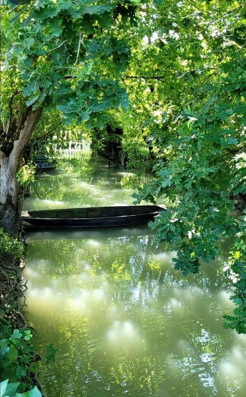 Natural landscape, River view