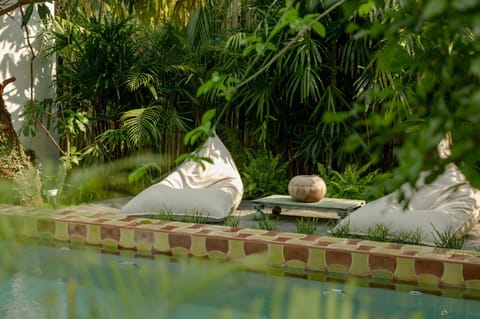 Day, Natural landscape, Garden, Garden view