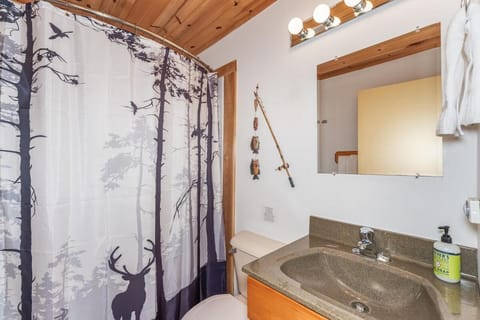 Cedaroma private Home in Resort to relax in the northwoods House in St Germain