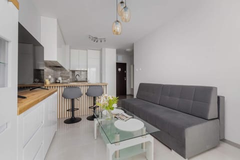 Kitchen or kitchenette, Living room, Seating area, Dining area, stove