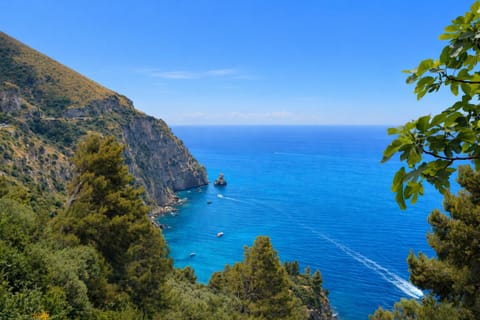 Mountain view, Sea view