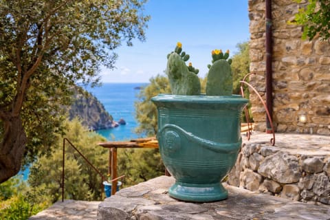 Natural landscape, Sea view