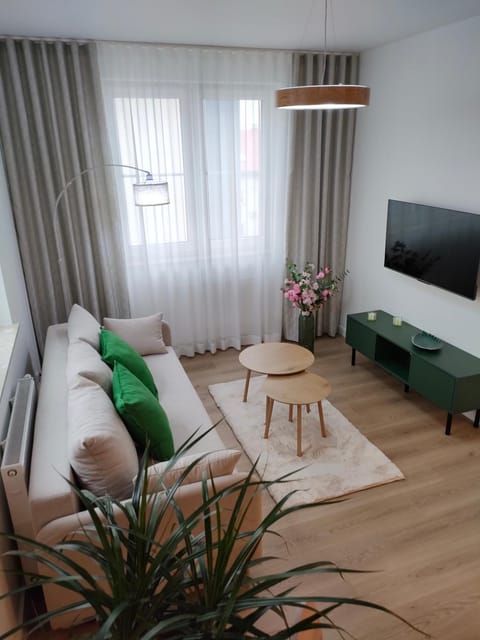 Communal lounge/ TV room, TV and multimedia, Living room