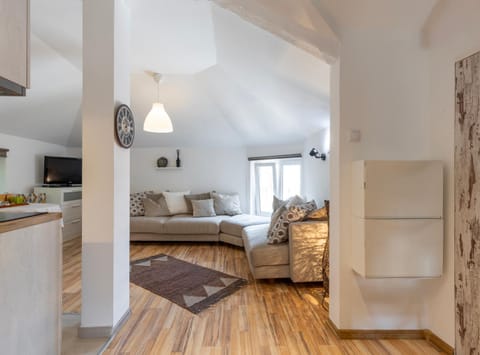 Bed, TV and multimedia, Kitchen or kitchenette, Living room, Photo of the whole room, Seating area, pet friendly