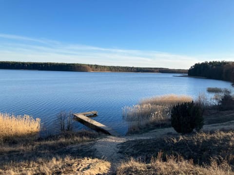 Lake view