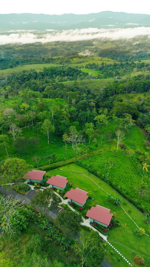 Natural landscape, Bird's eye view