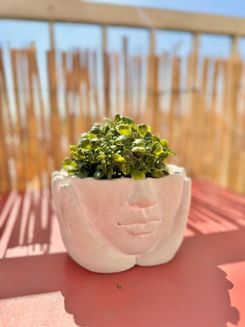 La Pilate, avec vue sur les toits de Rennes Apartment in Rennes