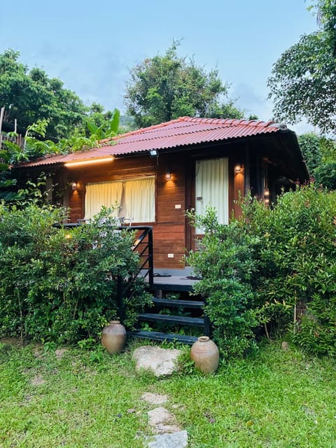 Property building, Garden, Garden view