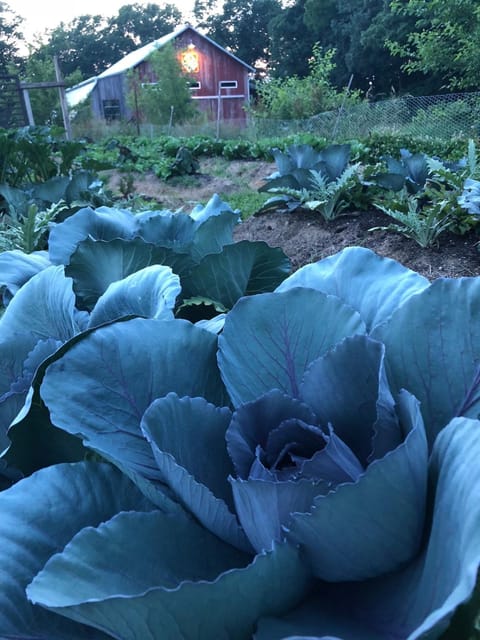 Historic Converted Barn Loft at Sobremesa Farm Apartment in Indiana