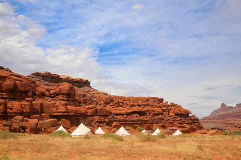 Glamping Queen Tent At Private Riverside Ranch Luxury tent in Moab