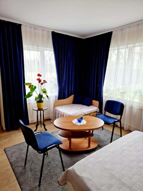 Bed, Living room, Photo of the whole room, Seating area, Bedroom