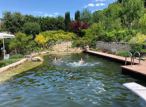 Garden, Garden view, Swimming pool