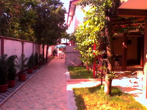 Patio, Day