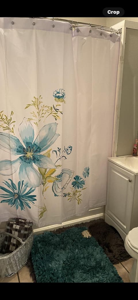 Cozy comfort Apartment in Ninth Ward