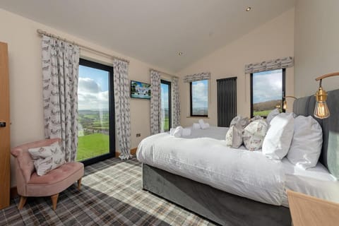 Luxury Country House with Swim Spa and BBQ Lodge House in Taunton Deane