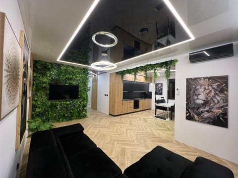 Communal lounge/ TV room, TV and multimedia, Kitchen or kitchenette, Living room, Seating area, Evening entertainment, minibar, oven, air conditioner