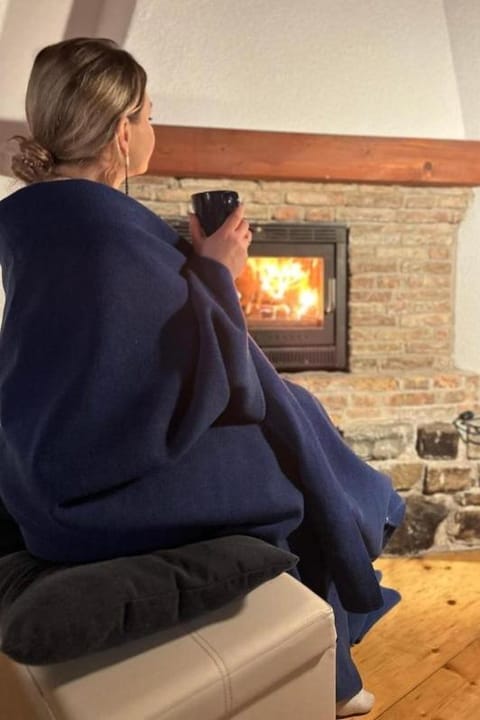Living room, fireplace, internet