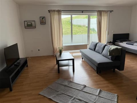 TV and multimedia, Living room, Photo of the whole room, Seating area, Evening entertainment, Bedroom