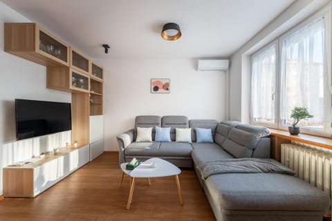 Communal lounge/ TV room, TV and multimedia, Living room, air conditioner