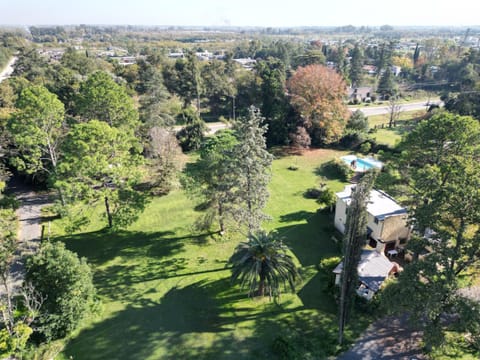 Natural landscape, Bird's eye view, Garden