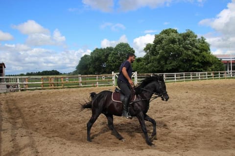 Day, Horse-riding