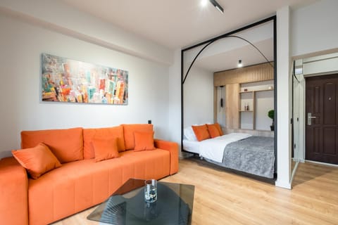 Bed, Living room, Photo of the whole room, Seating area, Bedroom