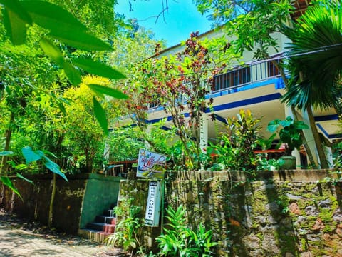 Property building, Garden, Garden view