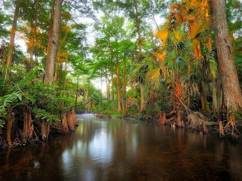 Upcycled Shipping Containers Transformed into a Glamping Home for a Unique Florida Vacation House in Jupiter