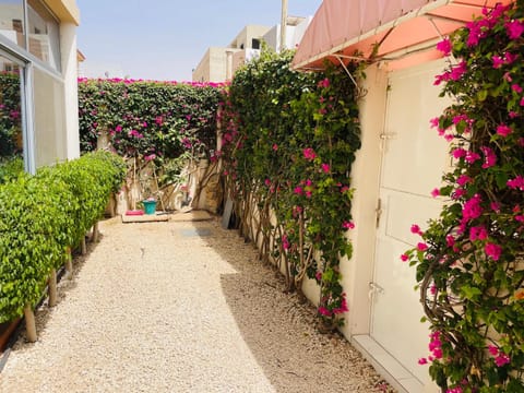 Property building, Day, Garden view