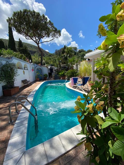 Day, Natural landscape, Garden, Garden view, Mountain view, Swimming pool, sunbed