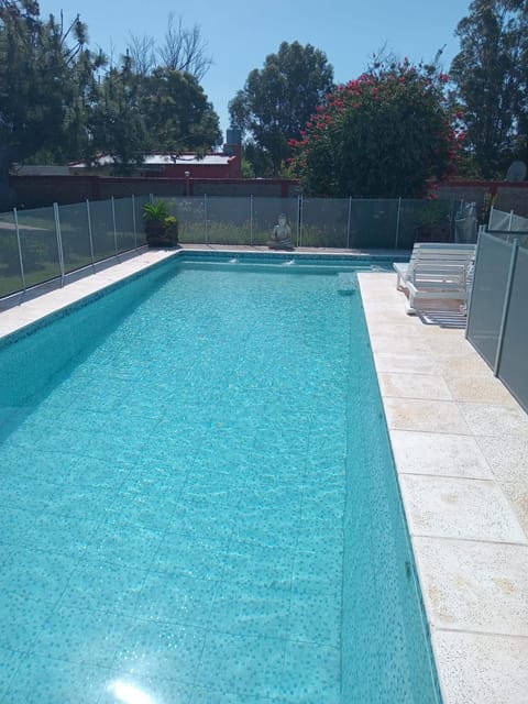 Day, Pool view, Swimming pool, sunbed