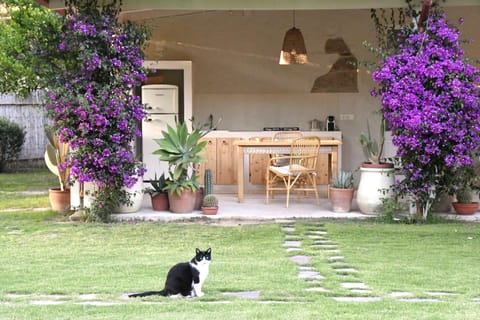 Giallo Limone Bed and Breakfast in Sardinia