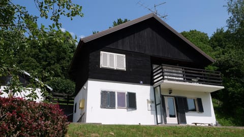 Property building, pet friendly
