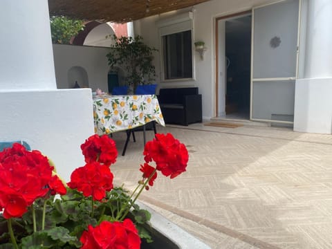 Patio, Day, Garden, Balcony/Terrace