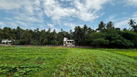 Natural landscape, Garden