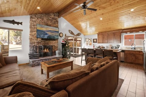 Living room, Seating area, fireplace