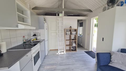 Kitchen or kitchenette, Photo of the whole room, oven, stove