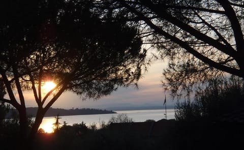 View (from property/room)