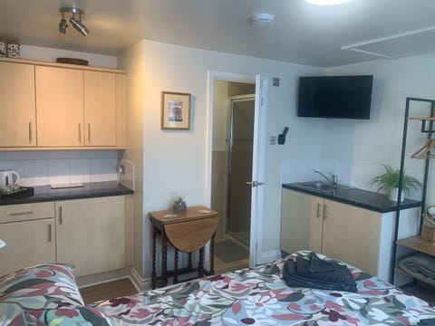 Shower, Toilet, Bed, TV and multimedia, Bedroom, Area and facilities