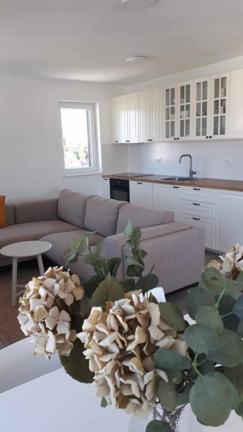 Kitchen or kitchenette, Living room, Dining area