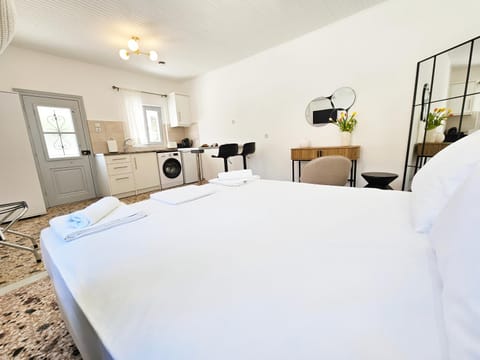 Bed, Kitchen or kitchenette, Photo of the whole room, Seating area, Bedroom, washing machine