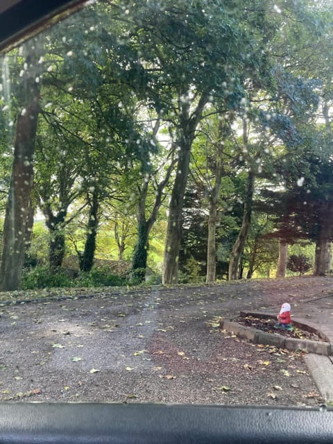 Country Mill House Country House in Northern Ireland