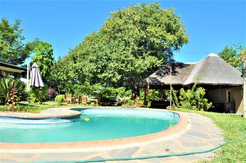 Garden, Swimming pool, Swimming pool