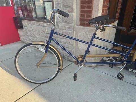 Friendly Abbey Road Retreat Apartment in Berwyn