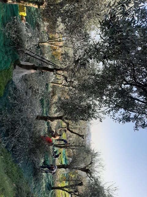 Agriturismo Conte Brunello Farm Stay in Lake Garda