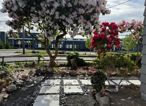 Spring, Day, Neighbourhood, Garden