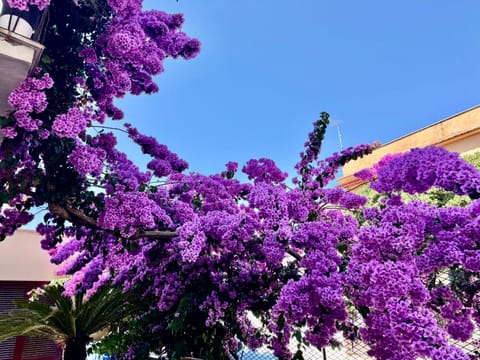 Casa Iside House in Ladispoli